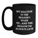 Funny Maltese Dog Lover Gifts for Women from Men on Valentine's - 'My Maltese Is The Reason I Wake Up...and The Reason I'm Always Late' Black Coffee Mug - Main