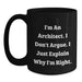 Funny Architect Black Coffee Mug Gifts from Friends, Coworkers, Family for Men, Women - Main