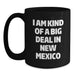 Funny New Mexico Gifts for Graduates from Friends - I Am Kind Of A Prime Selection In New Mexico Black Coffee Mug, Microwave and Dishwasher Safe - Main
