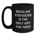 Funny Stepsister Gifts, Being My Stepsister Is The Only Gift You Need, Unique Christmas Memorable Presents for Stepsister from Family - Main