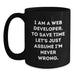 Funny Web Developer Gifts - I'm Never Wrong Black Coffee Mug for Men, Unique Father's Day Unique Gifts from Family to Father, Web Developer Lover Mug - Main
