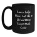 Funny Judge Mom Gifts for Judge, I Am A Judge Mom Coffee Mug, Graduation Unique Gifts from Friends - Main