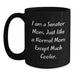 Senator Mom Funny Quotes Black Coffee Mugs, Gifts from Family to Senator Friends, Perfect Graduation Unique Gifts for Senator Men Women - Main
