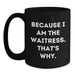 Funny Waitress Gifts from Friends to Graduation Unique Black Coffee Mugs - Because I Am The Waitress. That's Why. - Main