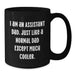 Funny Assistant Dad Black Coffee Mug Gifts for Assistants Birthday Unique Gifts from Family - Additional