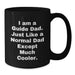 Funny Guide Dad Black Coffee Mugs Gifts from Men for Guide, Unique Graduation Unique Gifts, Funny I Am A Guide Dad Ceramic Mug - Additional