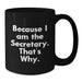 Funny Secretary Gifts from Friends, Inspirational Secretary Quote Black Coffee Mug, Perfect for Graduation Unique Gifts - Additional
