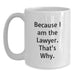 Funny Lawyer White Coffee Mug Gifts from Men to Women Friends Coworkers Family on Valentine's - Main
