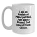 Funny Assistant Principal Gifts for Dad - White Coffee Mug - 'I Am An Assistant Principal Dad' - Main