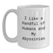 Abyssinian Cat Lovers Gifts from Family for Graduation Unique Occasion White Coffee Mug - Main