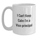 Funny Vice-Principal Gifts, Birthday Unique Gifts for Vice-Principal Men, White Coffee Mug, I Can't Keep Calm I'm A Vice-Principal Tees and Mugs - Main
