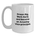 Funny Vice-principal Gifts for Him, White Coffee Mug with Dream Big Quote, Gifts from Family to Vice-principal on Birthday Unique Gifts - Main