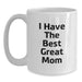 Funny Mom Quotes White Coffee Mug, Gifts from Family, Unique Birthday Unique Gifts for Mom, 'I Have The Best Great Mom' - Main