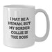 Funny Border Collie Dog Gifts from Men to Women Friends Coworkers Family - I May Be A Human, But My Border Collie Is The Boss Birthday Unique Mug for Border Collie Dog Lover - Additional