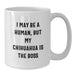 Funny Chihuahua Dog Gifts for Chihuahua Lovers - White Coffee Mug for Men or Women, Gift from Friends or Family, Birthday Unique Gift - Additional