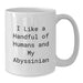 Abyssinian Cat Lovers Gifts from Family for Graduation Unique Occasion White Coffee Mug - Additional