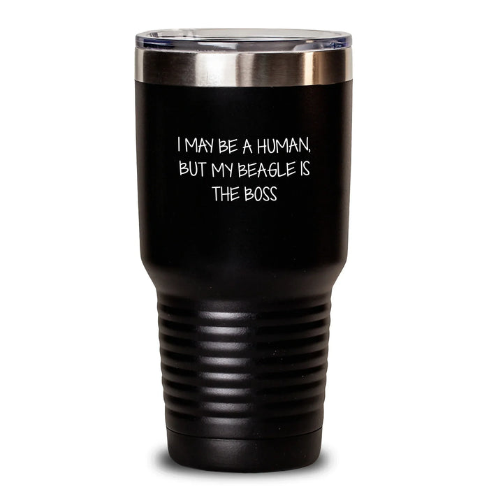 Beagle Dog Tumblers, Funny Quote Gift for Beagle Dog Lovers, Birthday Unique Gifts from Friends, Funny Beagle Dog Mom Tumblers, I May Be A Human, But My Beagle Is The Boss Tumblers - Main