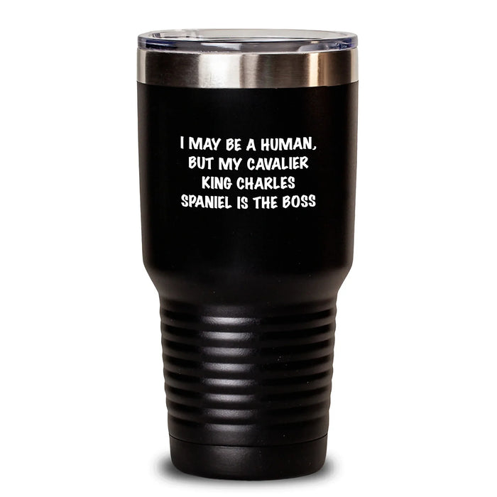 Funny Cavalier King Charles Spaniel Dog Gifts for Friends - I May Be A Human, But My Cavalier King Charles Spaniel Is The Boss Birthday Tumbler Gifts from Friends - Main