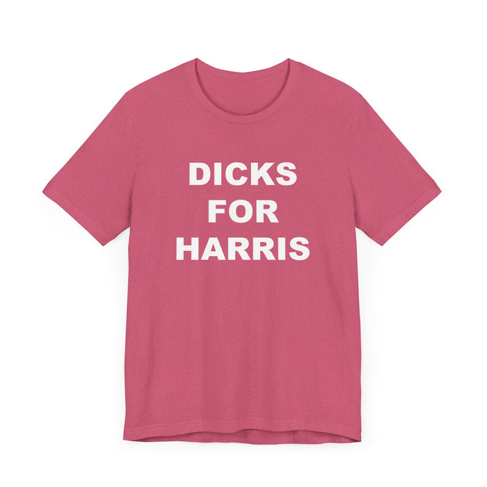 Dicks for Kamala, Funny Kamala Shirt, Awesome Republican Shirt, Perfect Kamala Gift, Dick Cheney