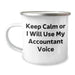 Funny Accountant Gifts from Men, Unique Camping Mug for Accountant Mother's Day, Keep Calm Or I Will Use My Accountant Voice - Image 1