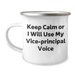 Vice-Principal Gifts Keep Calm Funny Camping Mug for Men Women Coworkers Family from Friends - Image 1