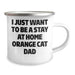 Funny Orange Cat Dad Gifts from Men to Orange Cat Lovers on Father's Day - Camping Mug - Image 2