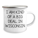 Wisconsin Camping Mug Funny Quote, Gifts from Friends to Wisconsin Men, Unique Graduation Gifts, I Am Kind Of A Prime Selection In Wisconsin - Image 2