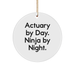 Actuary Gifts, Actuary By Day. Ninja By Night., Circle Ornament, Funny Quote, Christmas Unique Gifts from Friends to Actuary - Image 1