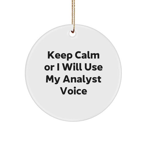 Funny Analyst Humor Circle Ornament Gifts from Friends for Christmas - Image 1