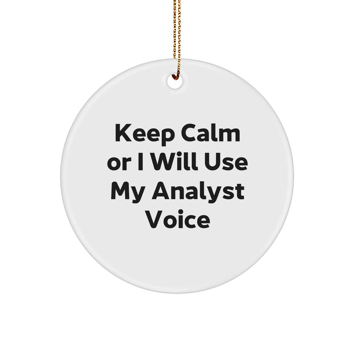 Funny Analyst Humor Circle Ornament Gifts from Friends for Christmas - Image 1