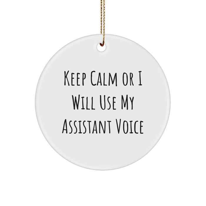 Funny Assistant Gifts from Friends for Christmas - 'Keep Calm Or I Will Use My Assistant Voice' Circle Ornament - Image 1