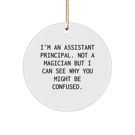Funny Assistant Principal Gifts for Christmas: I'm Not a Magician But I Can See Why You Might Be Confused Circle Ornament for Assistant Principals, Funny Office Decor, Unique Christmas Unique Gifts - Image 1