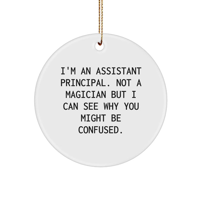 Funny Assistant Principal Gifts for Christmas: I'm Not a Magician But I Can See Why You Might Be Confused Circle Ornament for Assistant Principals, Funny Office Decor, Unique Christmas Unique Gifts - Image 1