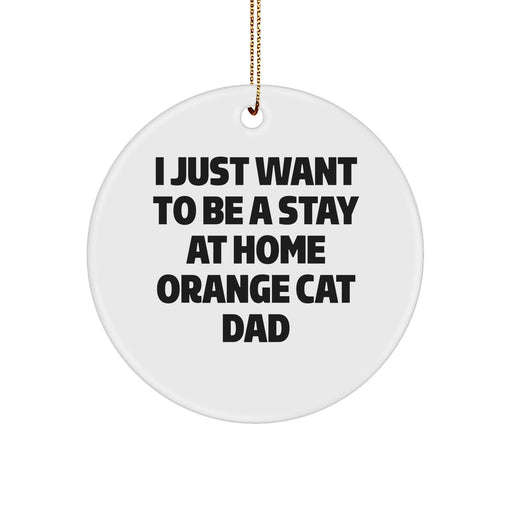 Funny Orange Cat Dad Gifts from Men to Friends for Christmas Unique Circle Ornaments - Image 1