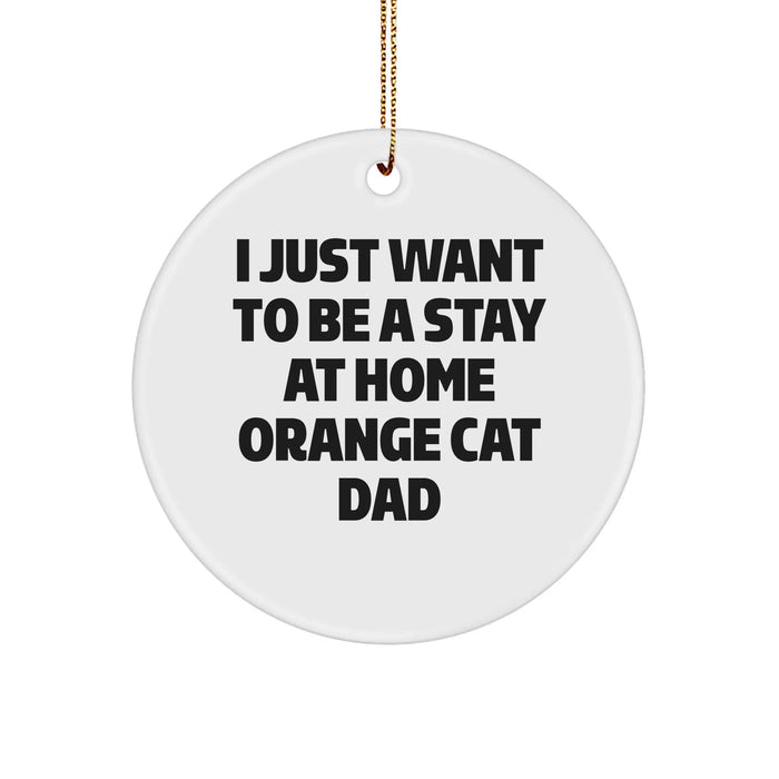 Funny Orange Cat Dad Gifts from Men to Friends for Christmas Unique Circle Ornaments - Image 1