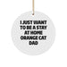 Funny Orange Cat Dad Gifts from Men to Friends for Christmas Unique Circle Ornaments - Image 1