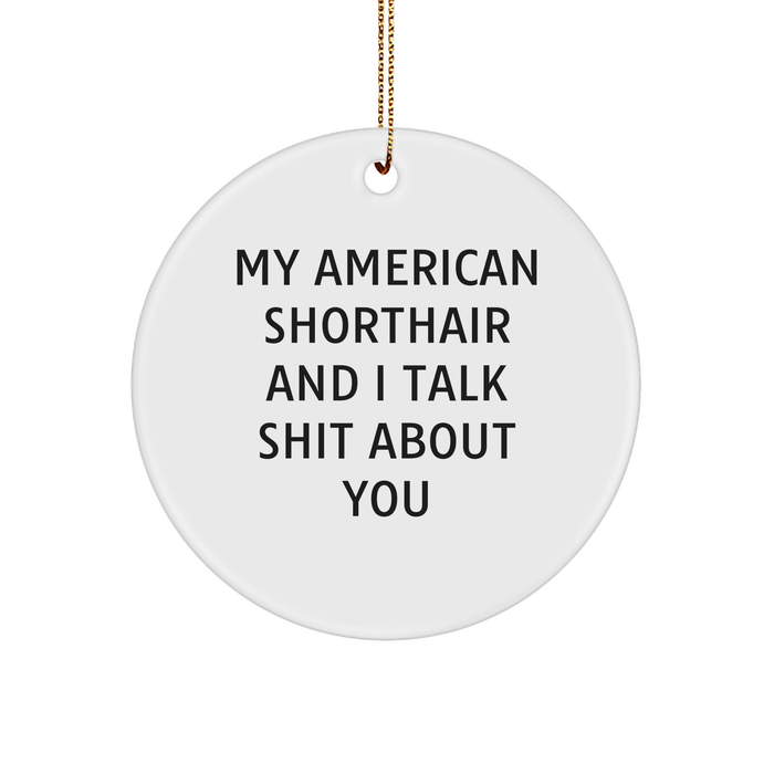 American Shorthair Cat Lovers' Funny Circle Ornament Gifts for Friends from Family - Image 1