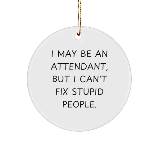 Attendant Humor Gifts from Friends, Funny Circle Ornament for Attendant, Christmas Unique Gifts: I May Be An Attendant, But I Can't Fix Stupid People. - Image 1