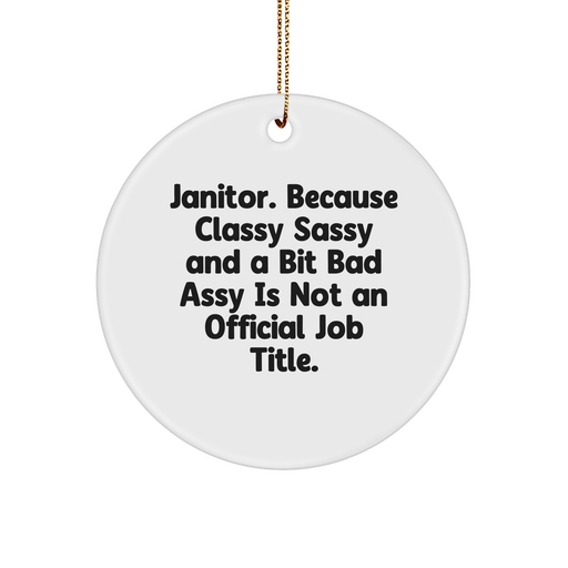 Janitor's Delight, Funny Circle Ornament Gifts from Friends to Coworkers for Men, 'Because Classy Sassy And A Bit Fearlessy Is Not An Official Job Title.' - Image 1