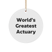 World's Greatest Actuary Funny Circle Ornament, Gifts from Friends to Actuary, Christmas Unique Actuary Gifts - Image 1