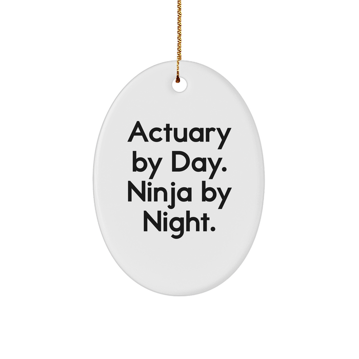 Actuary Gifts from Friends - Oval Ornament By Day, Ninja By Night. - Christmas Unique Presents for Actuary Lovers - Image 1
