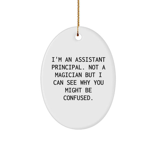 Funny Assistant Principal Oval Ornament Gifts from Men to Assistant Principals for Christmas Unique Gifts - Image 1