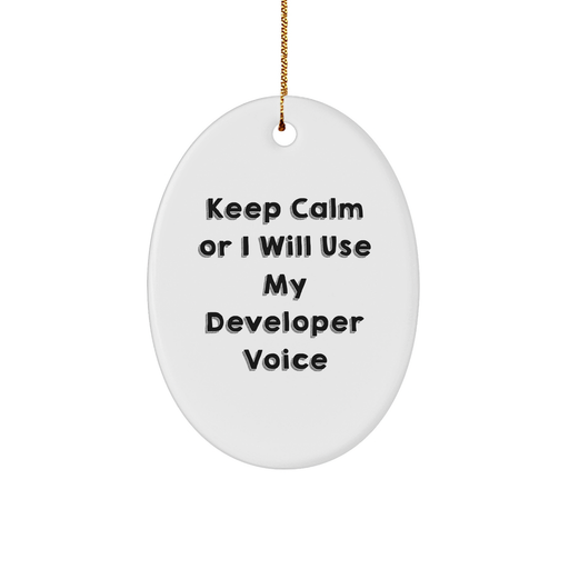 Funny Developer Gifts from Friends to Keep Calm Oval Ornament, Christmas Unique Gifts for Men, Women, Coworkers, Family - Image 1