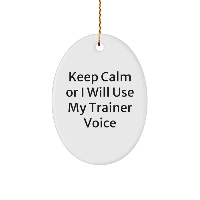 Funny Trainer Gifts from Friends for Christmas - Oval Ornament 'Keep Calm Or I Will Use My Trainer Voice' - Image 1