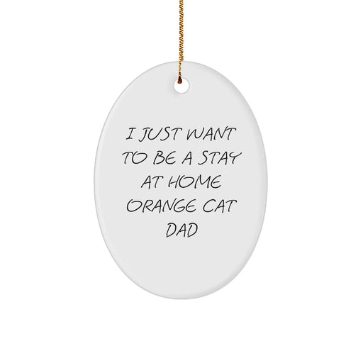 Funny Orange Cat Dad Gifts, 'I Just Want To Be A Stay At Home Orange Cat Dad' Oval Ornament for Orange Cat Lovers, Christmas Unique Gifts from Friends - Image 1