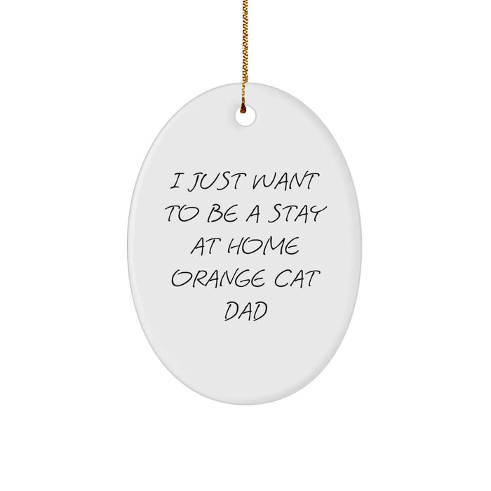 Funny Orange Cat Dad Gifts, 'I Just Want To Be A Stay At Home Orange Cat Dad' Oval Ornament for Orange Cat Lovers, Christmas Unique Gifts from Friends - Image 1