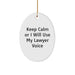 Funny Lawyer Gifts from Friends - 'Keep Calm Or I Will Use My Lawyer Voice' Oval Ornament for Christmas - Image 1