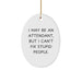 Funny Attendant Gifts from Men - Oval Ornament for Christmas, I May Be An Attendant, But I Can't Fix Stupid People., Gifts for Attendants - Image 1