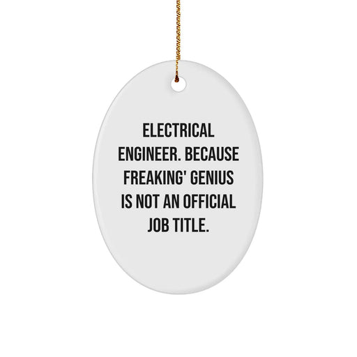 Electrical Engineer Gifts from Friends - Oval Ornament, Funny Quote - 'Freaking' genius Is Not An Official Job Title., Gifts for Electrical Engineer Men, Christmas Unique Gifts - Image 1