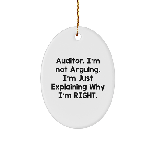 Auditor Humor Oval Ornament, Gifts from Friends, Family, or Coworkers for Auditor, Christmas Unique Gifts - Image 1